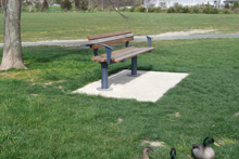 Civic Seat in Saxton Field Reserve Nelson